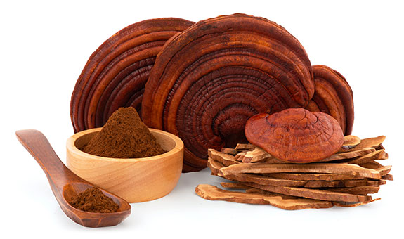 ingredients-mushroom